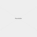 placeholder-1600 placeholder-1600